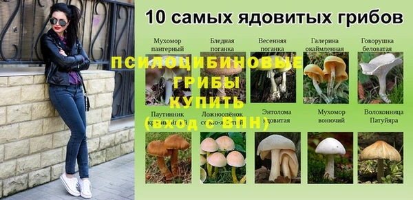 хмурый Горняк