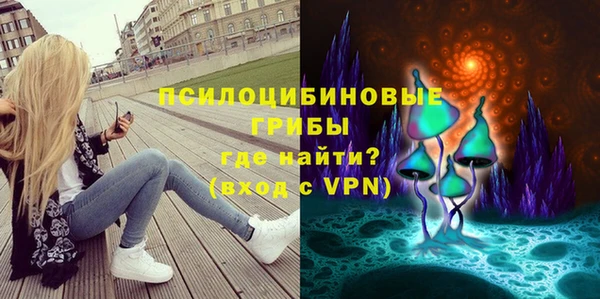 хмурый Горняк