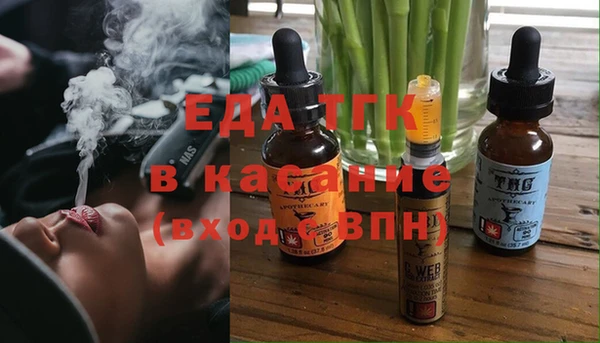 хмурый Горняк