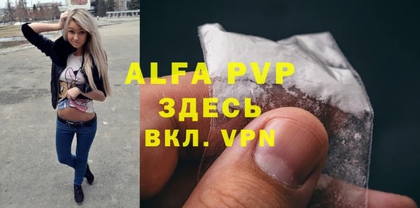 прущие крисы Гусев