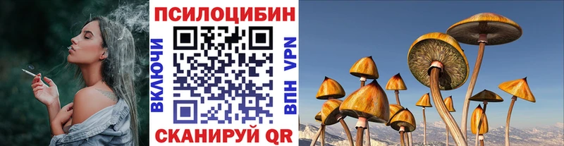 МЕГА рабочий сайт  Дивногорск  Галлюциногенные грибы Psilocybe 